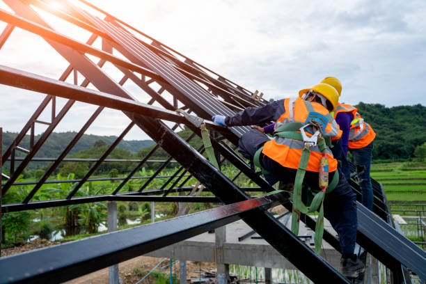 Best Best Roofing Contractors  in Natalia, TX