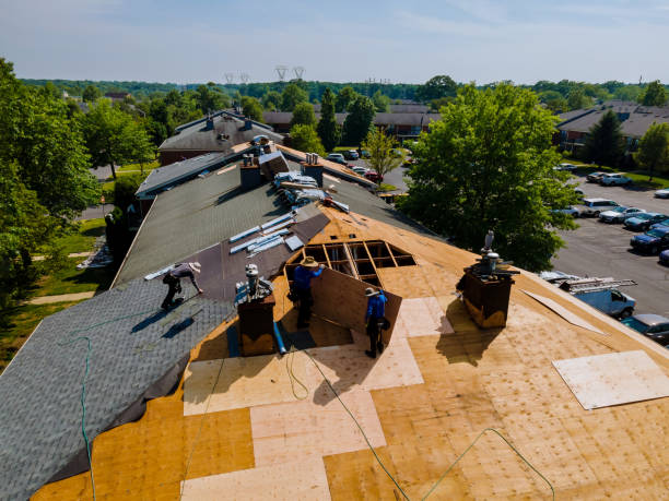 Quick and Trustworthy Emergency Roof Repair Services in Natalia, TX