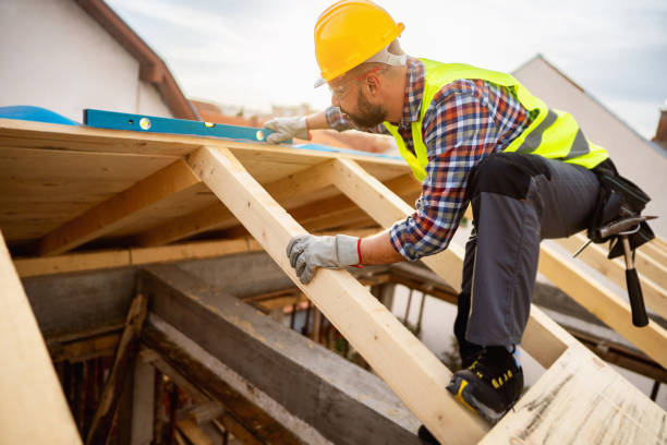 Professional Roofing Contractor in Natalia, TX