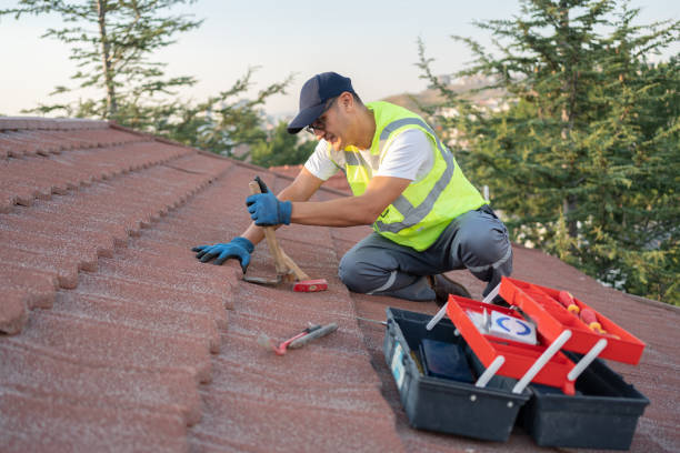 Roof Waterproofing Services in Natalia, TX